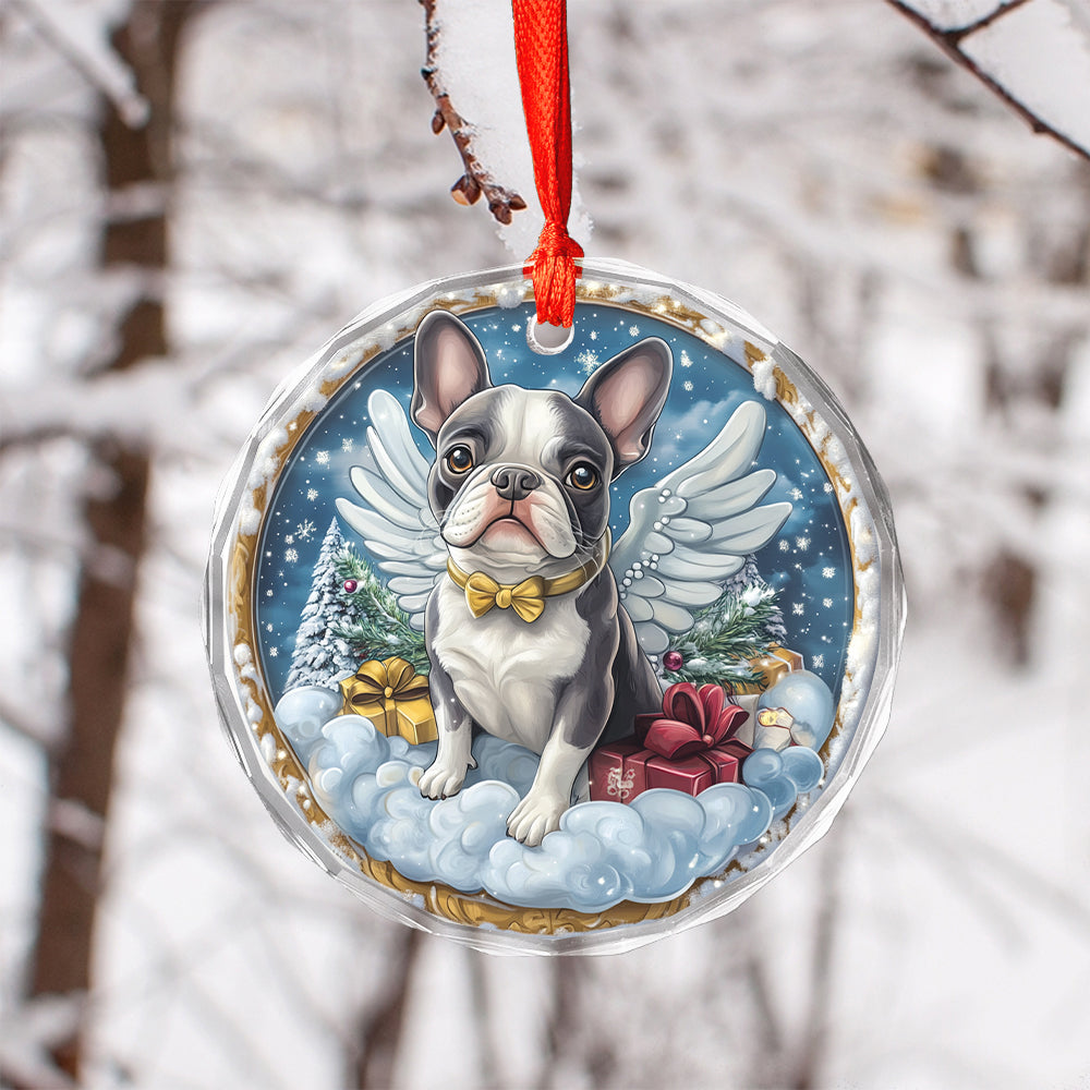 Angel Boston Terrier Dog 4