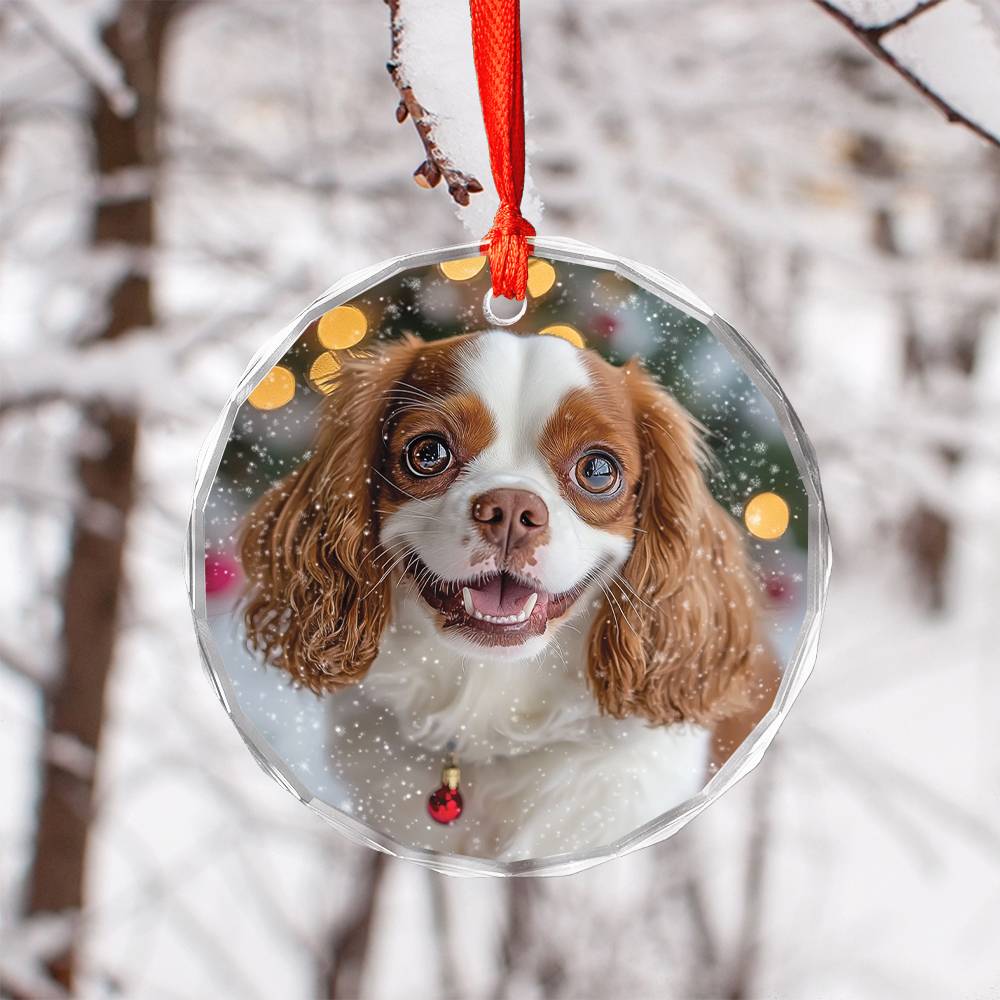 Beautiful Angus Cavalier King Charles Spaniel Dog Christmas Night Design 2 Glass Ornament