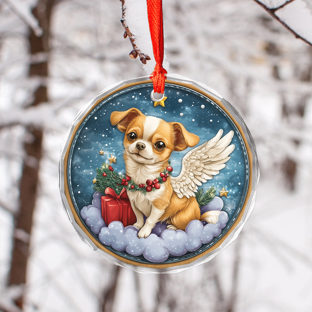 Angel Chihuahua Dog 1