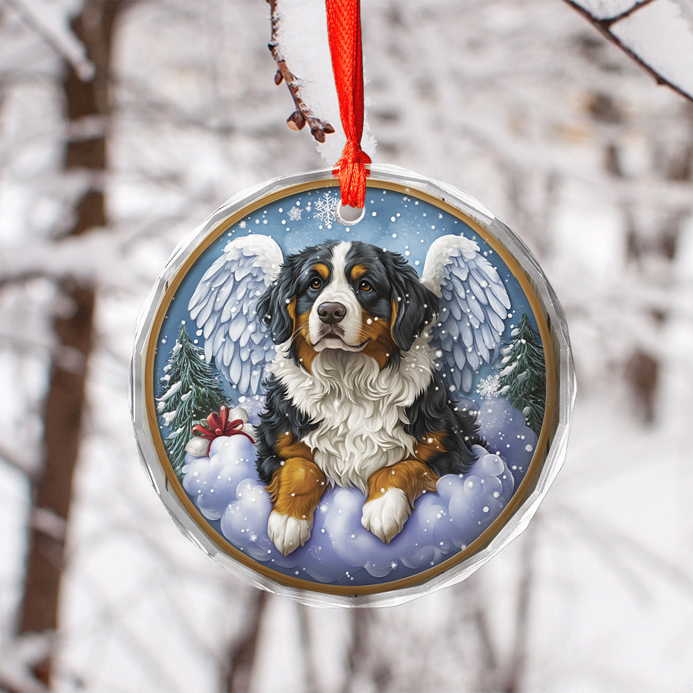 Angel Bernese Mountain Dog 4