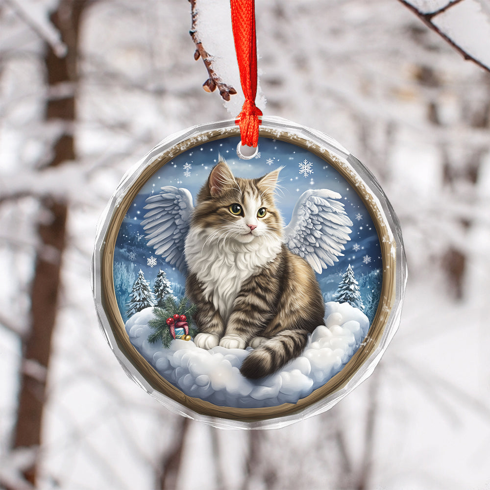 Angel Siberian Cat 2