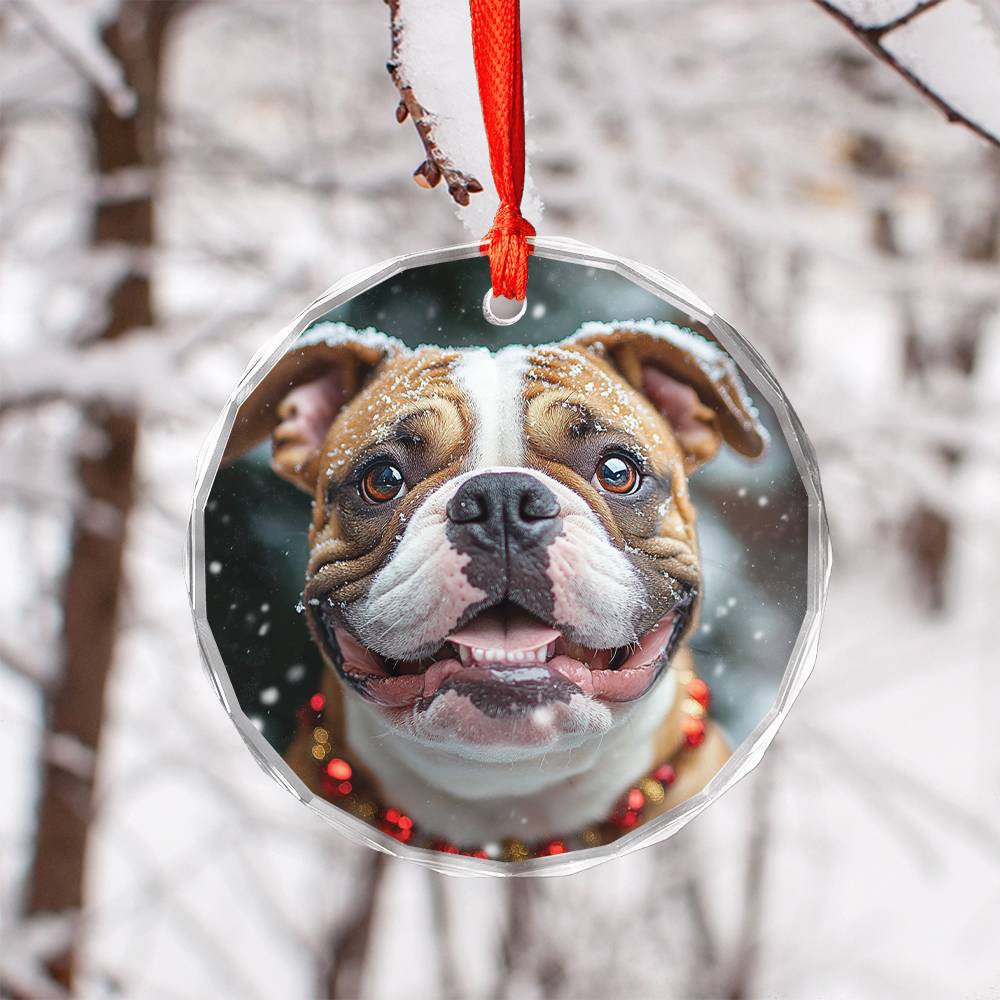 Beautiful Angus Bulldog Dog Christmas Night Design 1 Glass Ornament