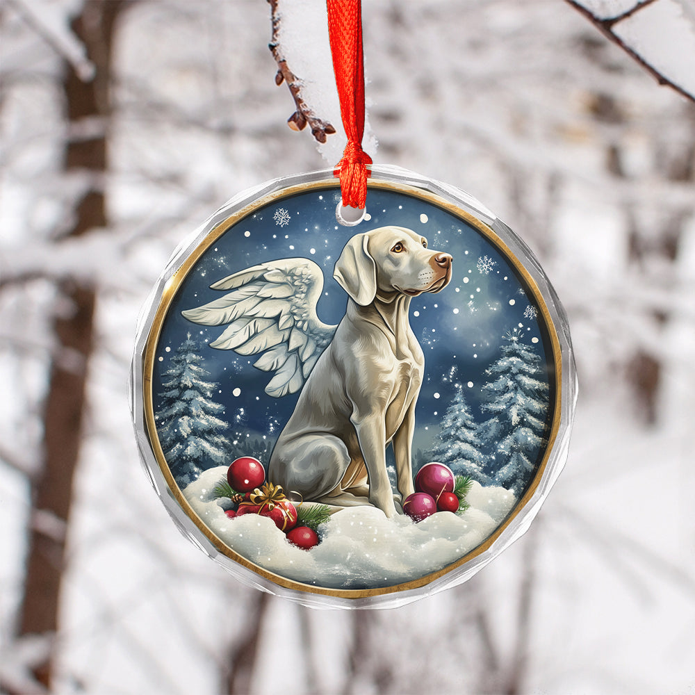 Angel Weimaraner Dog 4