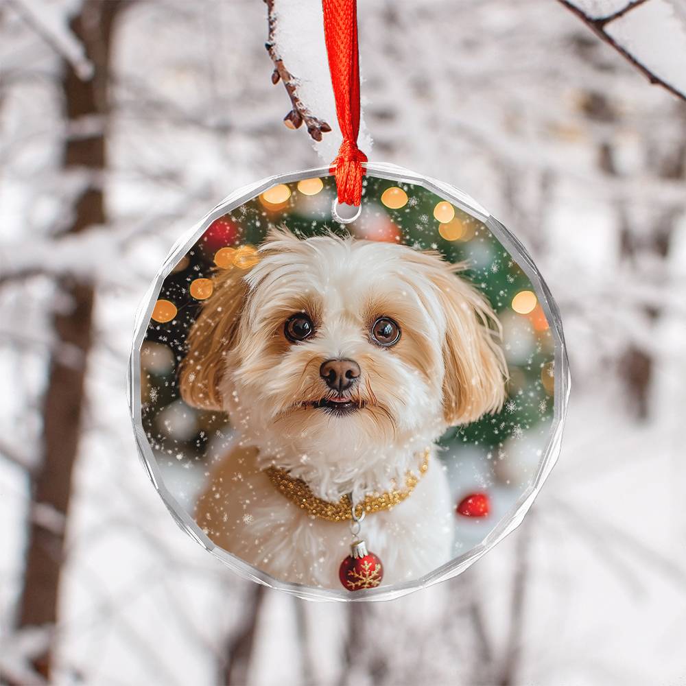 Beautiful Havanese Dog Christmas Night Design 4 Glass Ornament