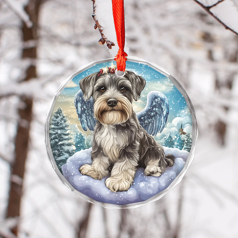 Angel Miniature Schnauzer Dog 1