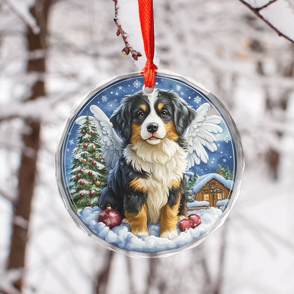 Angel Australian Shepherd Dog 4