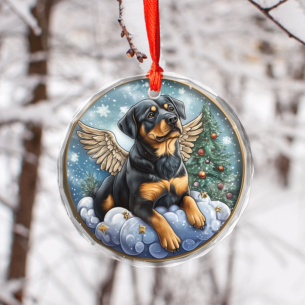 Angel Rottweiler Dog 3