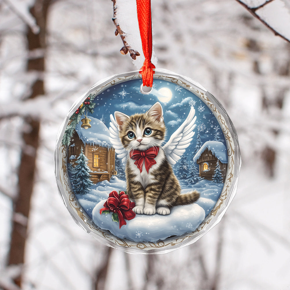 Angel American Shorthair Cat 3