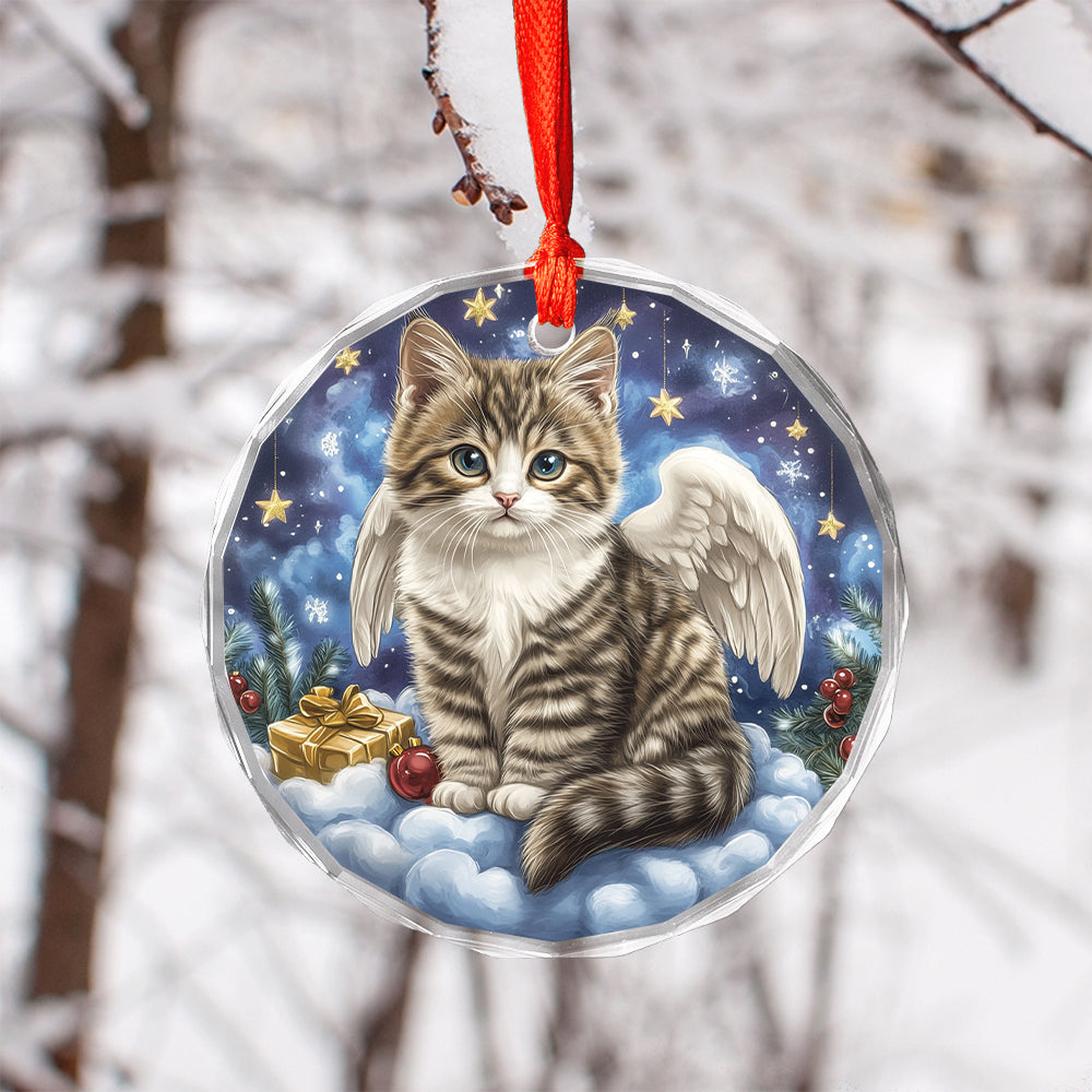 Angel American Shorthair Cat 2