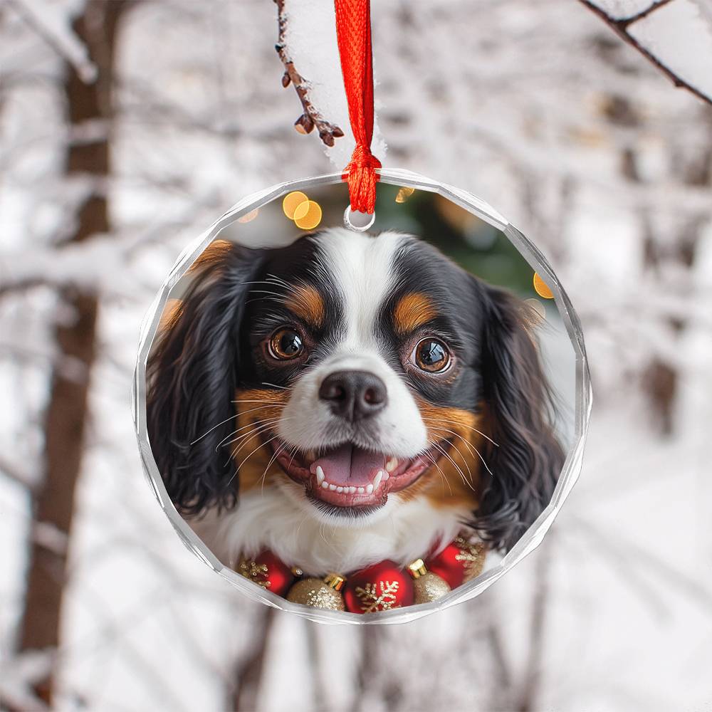 Beautiful Angus Cavalier King Charles Spaniel Dog Christmas Night Design 3 Glass Ornament