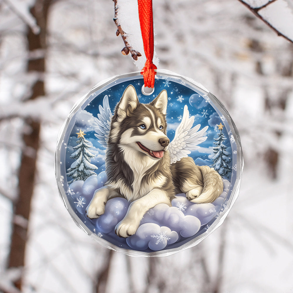 Angel Siberian Husky Dog 1