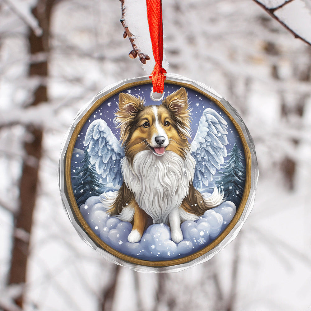 Angel Shetland Sheepdog 3