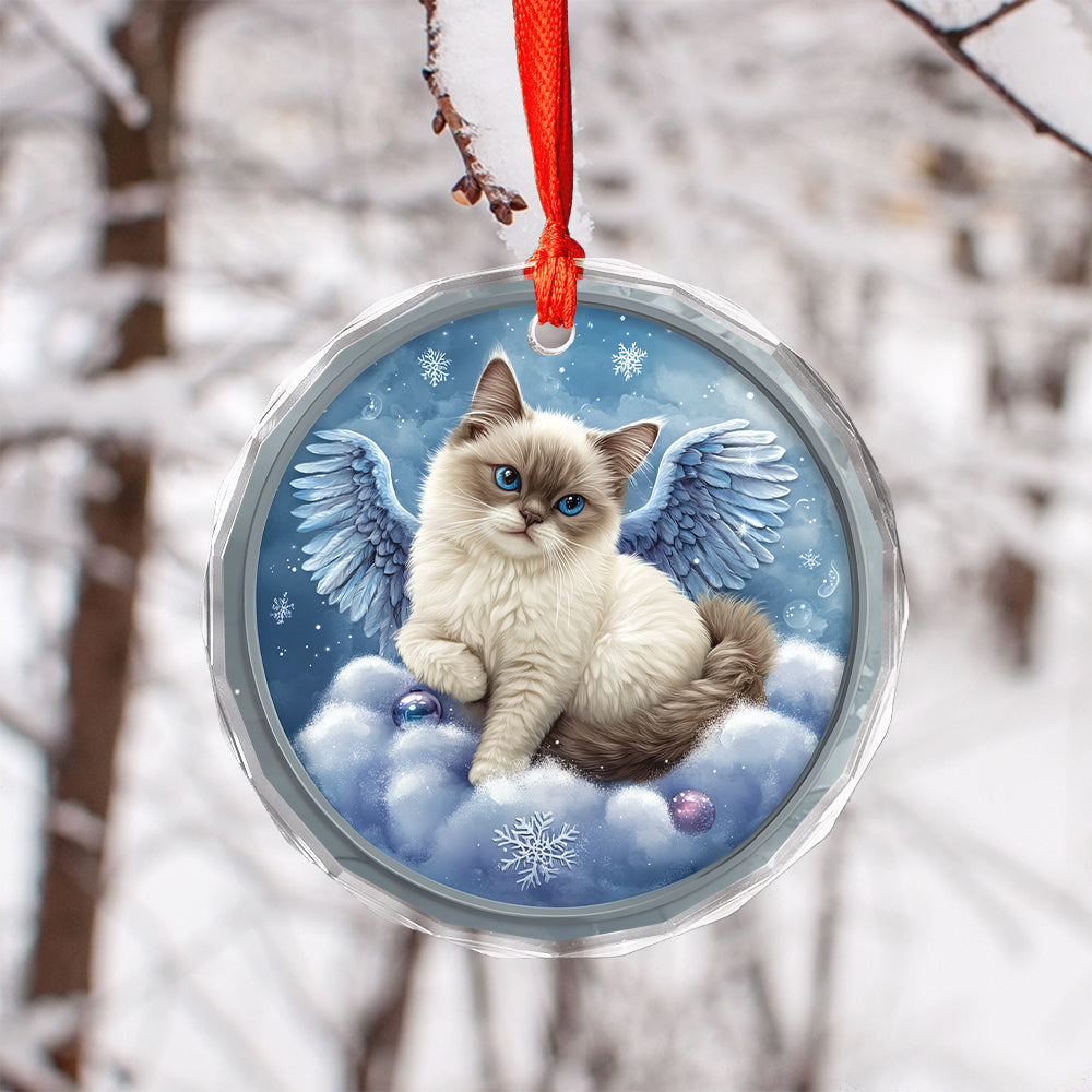 Angel Siamese Cat 1