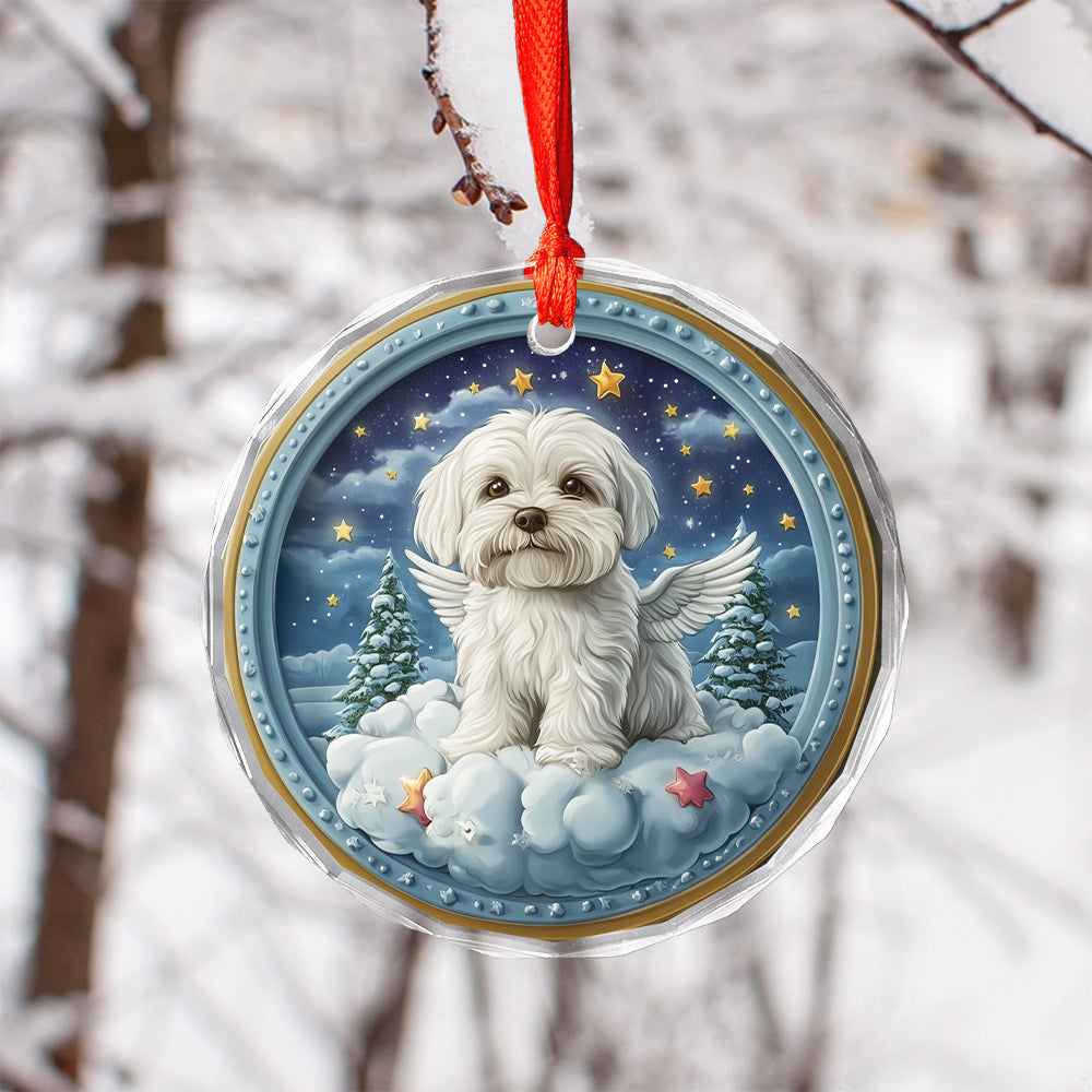 Angel Maltese Dog 1