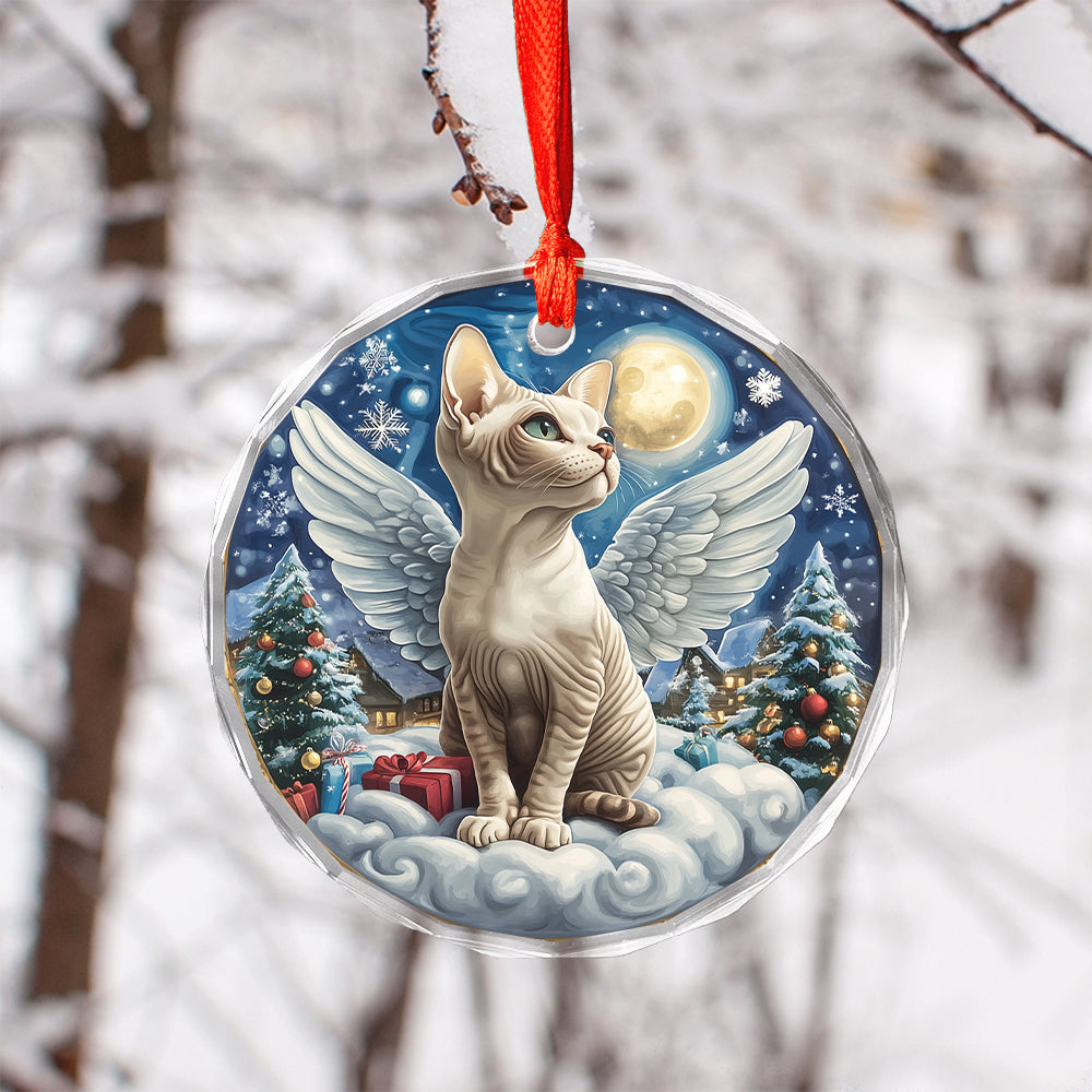 Angel Sphynx Cat 4