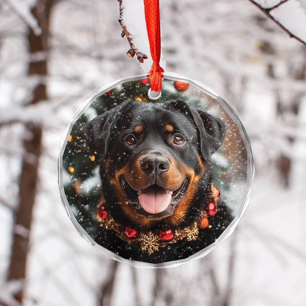 Beautiful Angus Rottweiler Dog Christmas Night Design 2 Glass Ornament