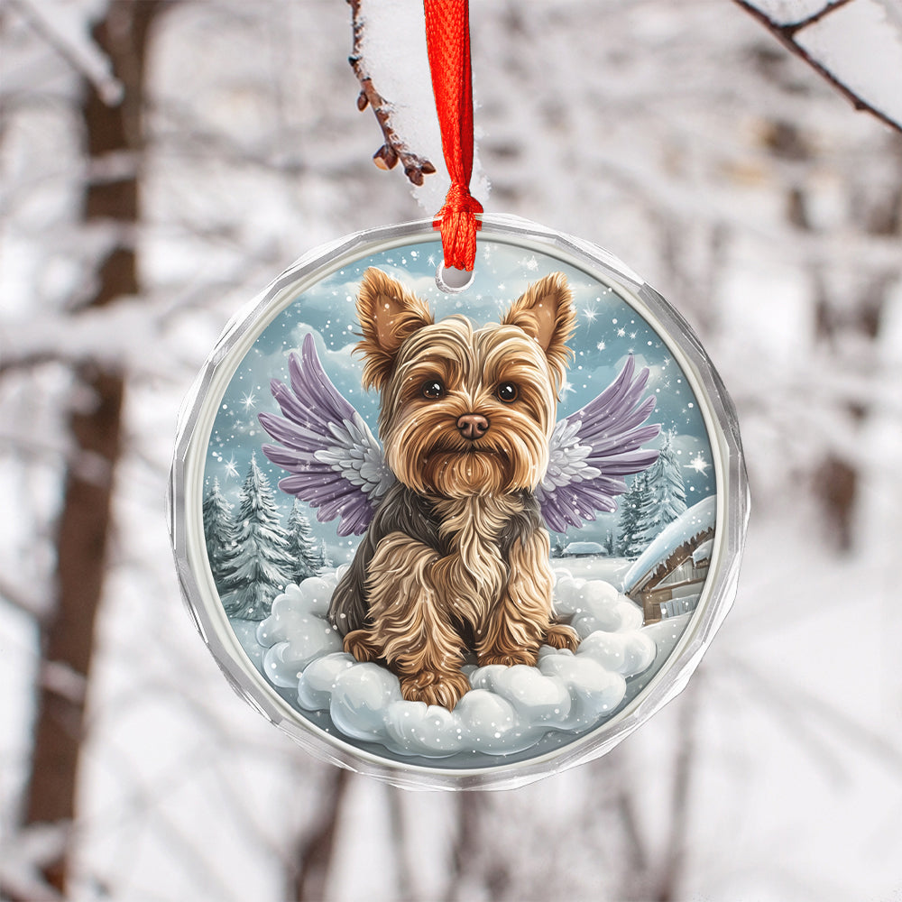 Angel Yorkshire Terrier Dog 2