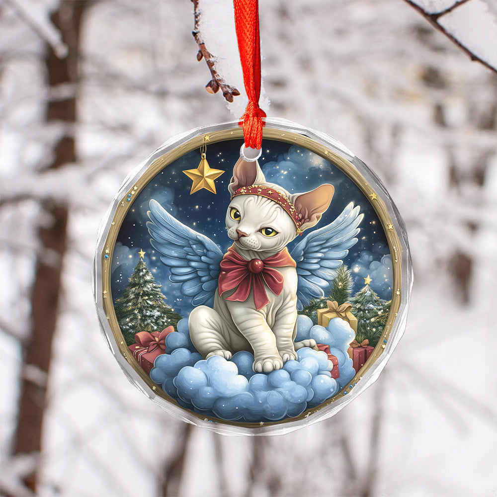 Angel Sphynx Cat 1