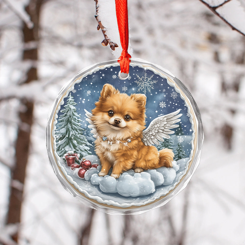 Angel Pomeranian Dog 3