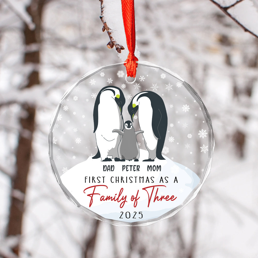 Custom Couple First Christmas