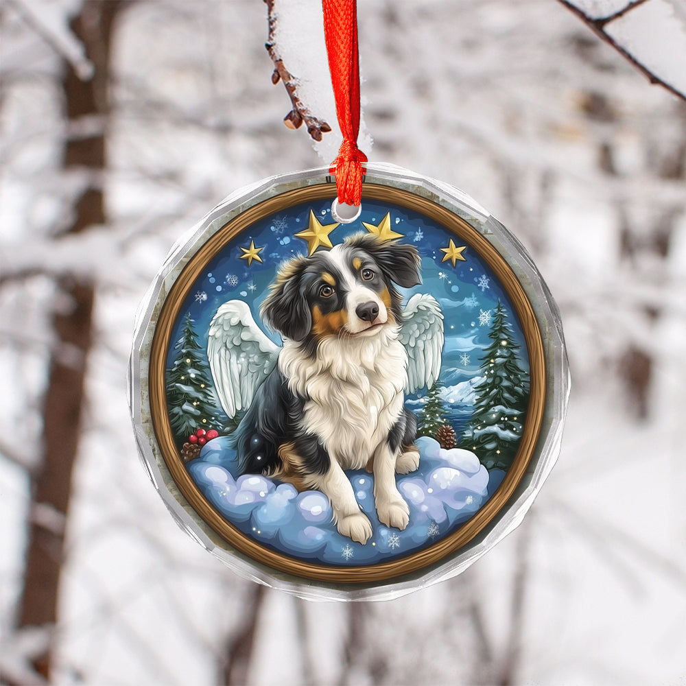 Angel Australian Shepherd Dog 2