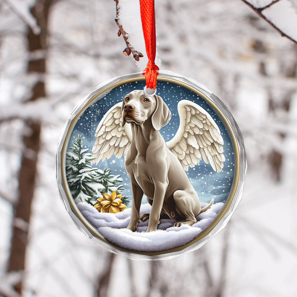 Angel Weimaraner Dog 1
