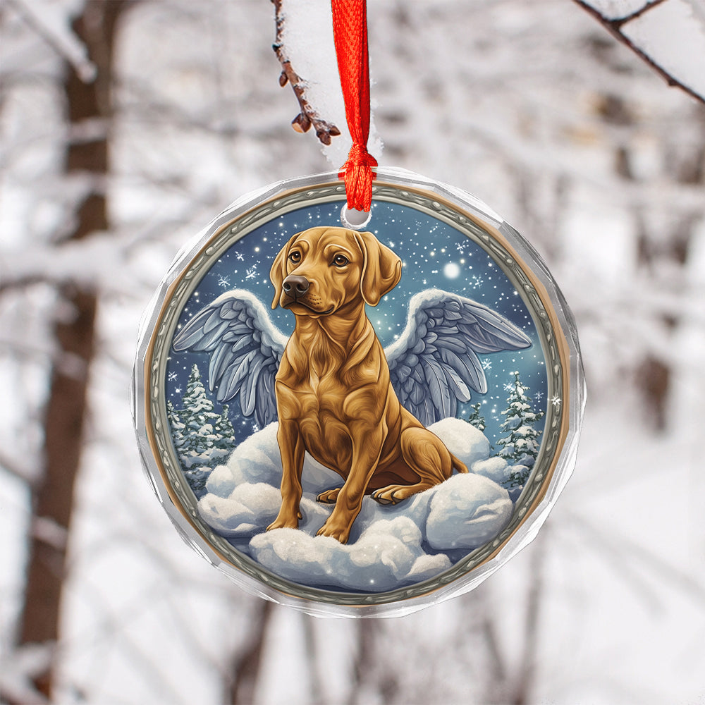 Angel Rhodesian Ridgeback Dog 3