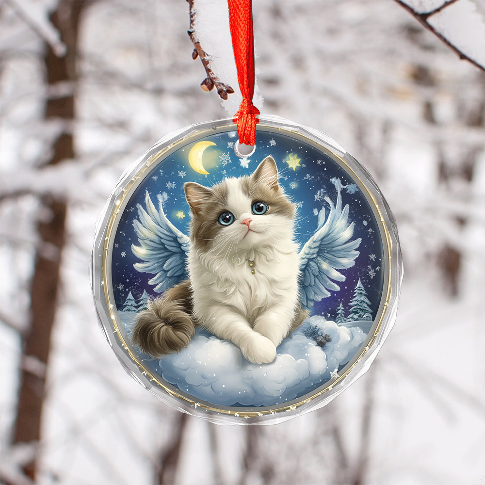 Angel Ragdoll Cat 1
