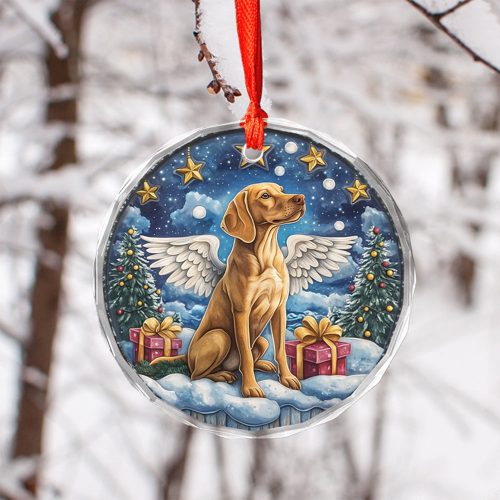 Angel Vizsla Dog 3