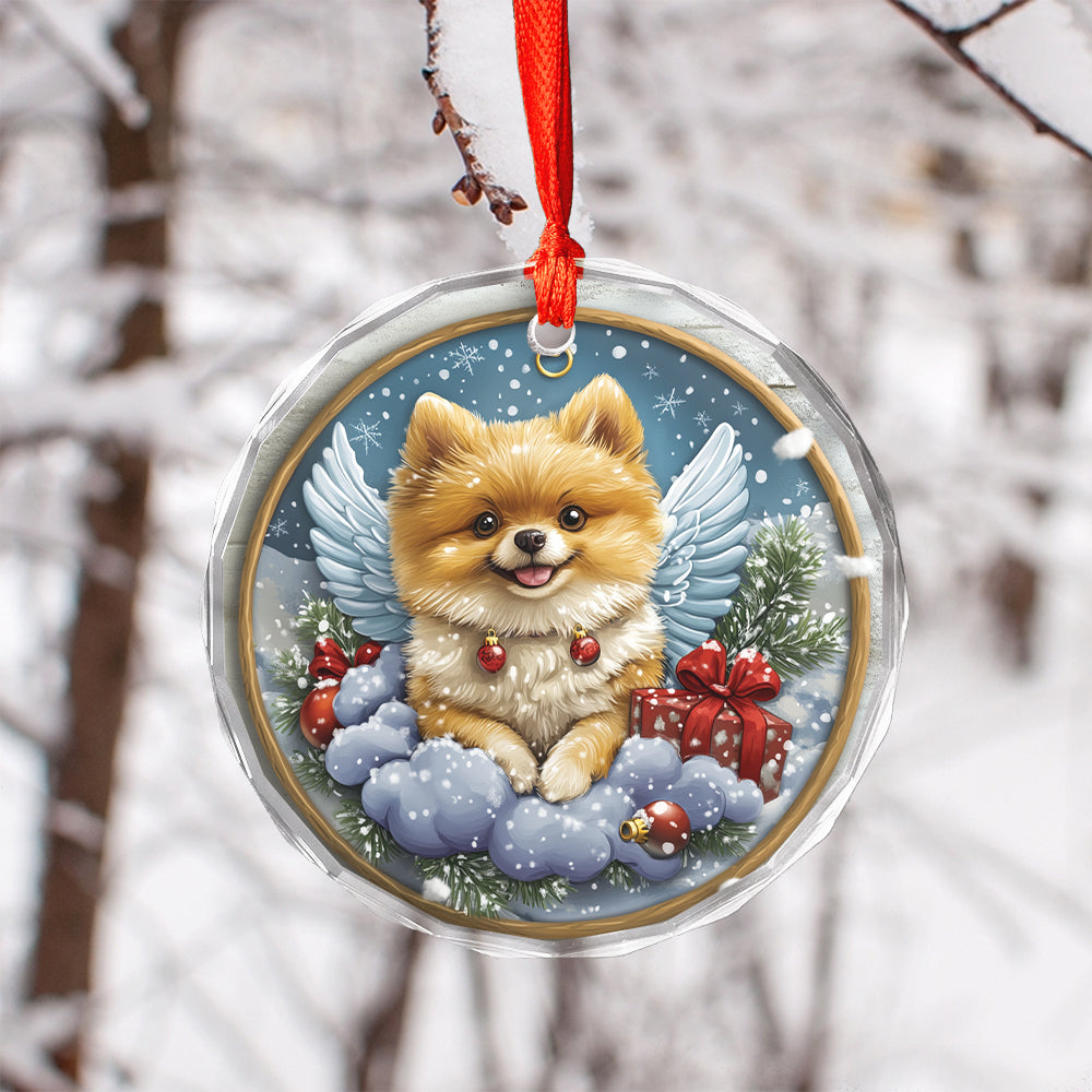 Angel Pomeranian Dog 2