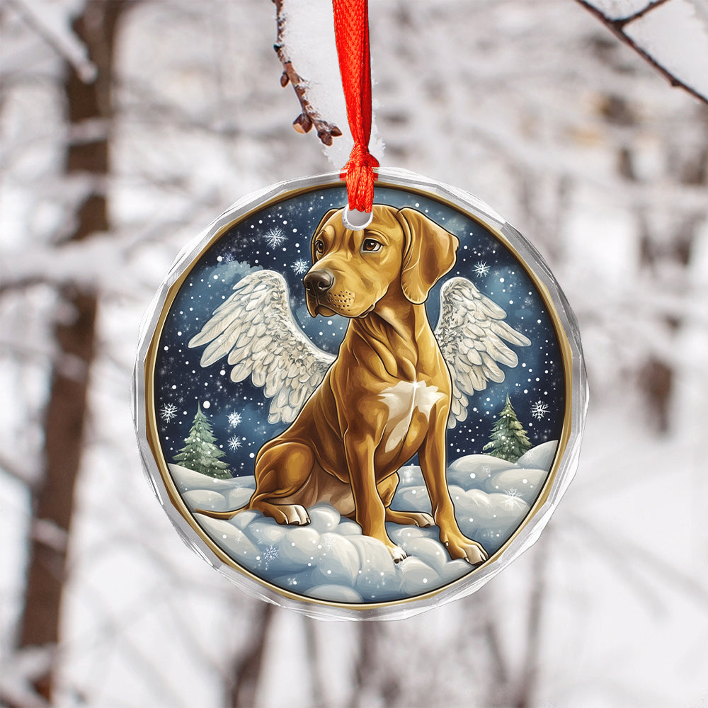 Angel Rhodesian Ridgeback Dog 2