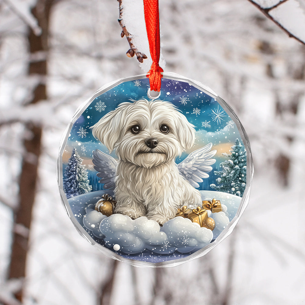 Angel Maltese Dog 2