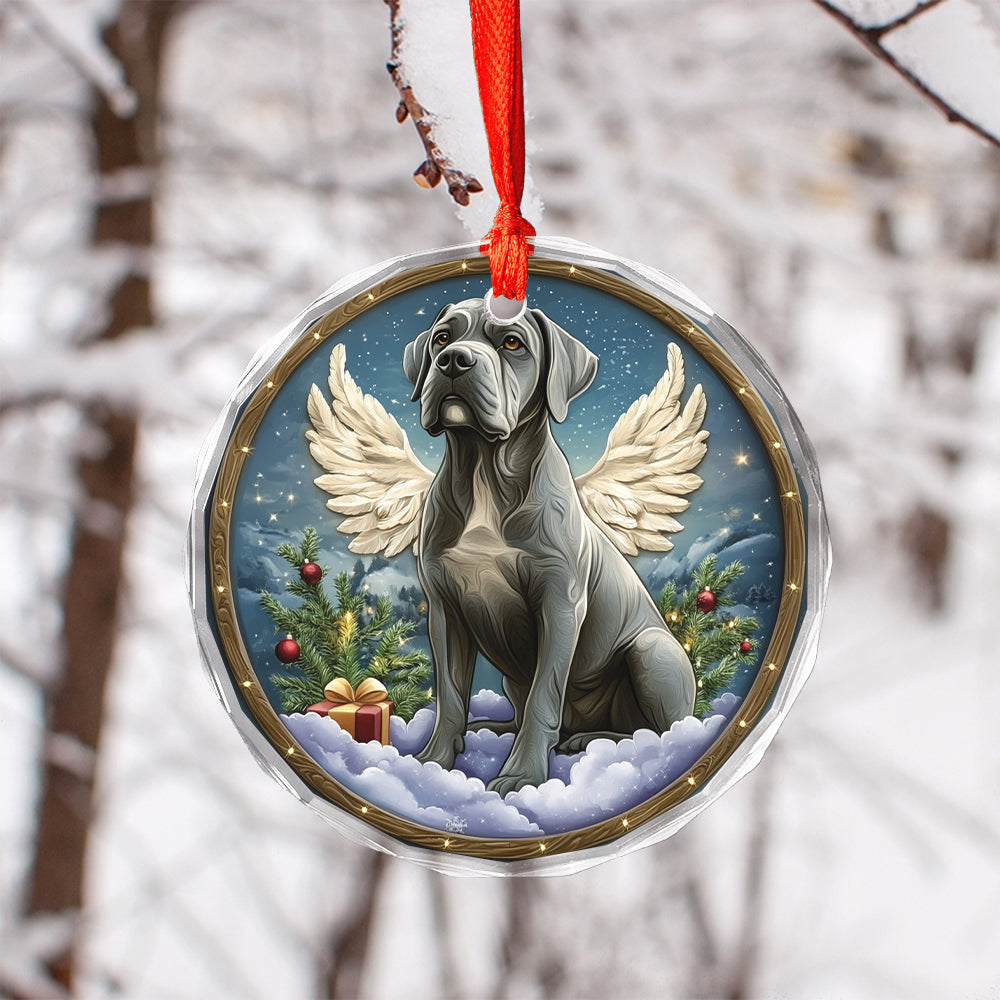 Angel Mastiff Dog 4