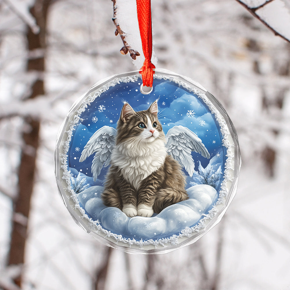 Angel Norwegian Forest Cat 4