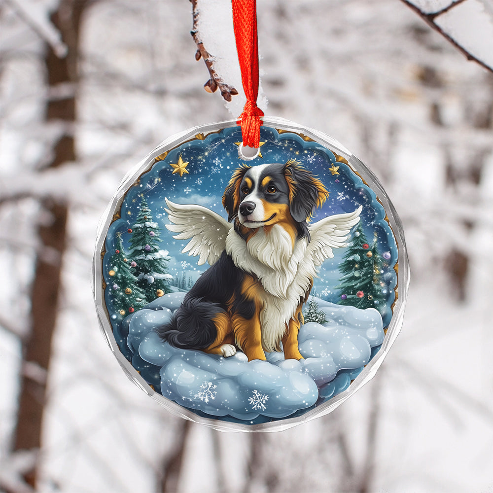 Angel Australian Shepherd Dog 1
