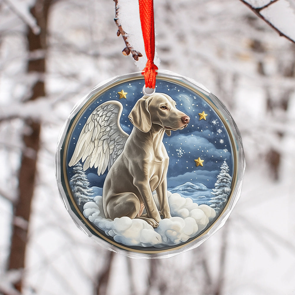 Angel Weimaraner Dog 2