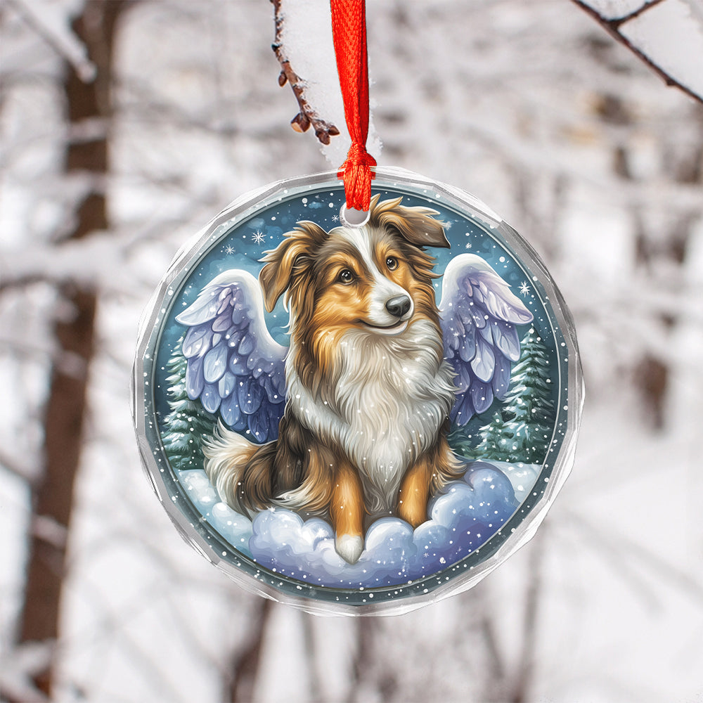 Angel Shetland Sheepdog 4