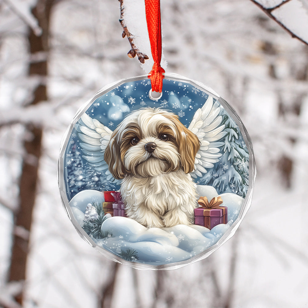 Angel Shih Tzu Dog 2