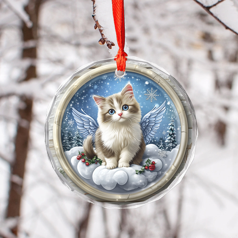 Angel Ragdoll Cat 2
