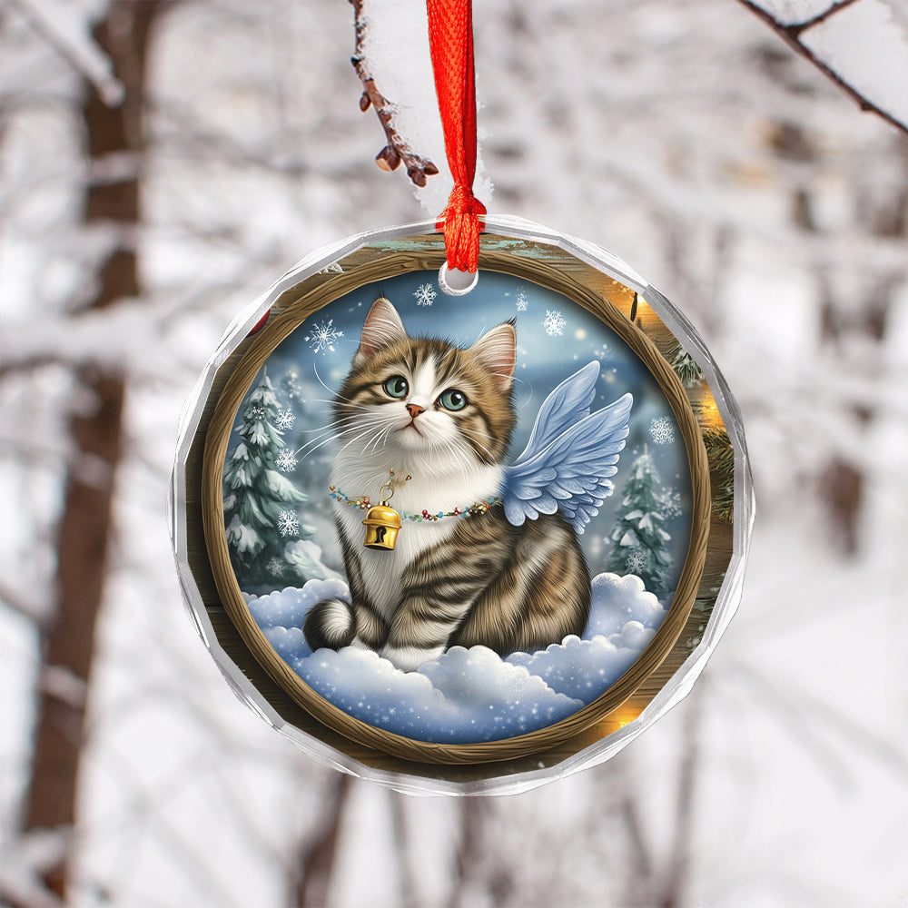 Angel Norwegian Forest Cat 3