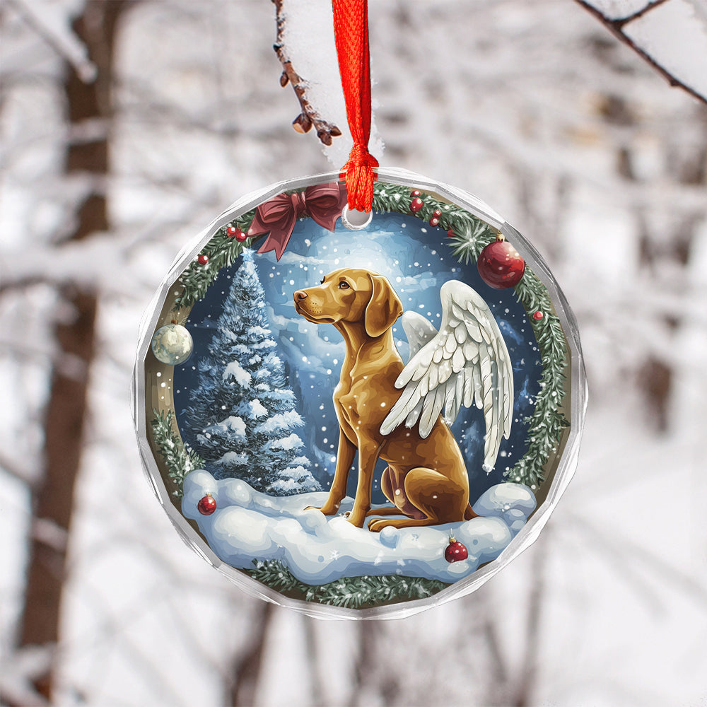 Angel Vizsla Dog 1