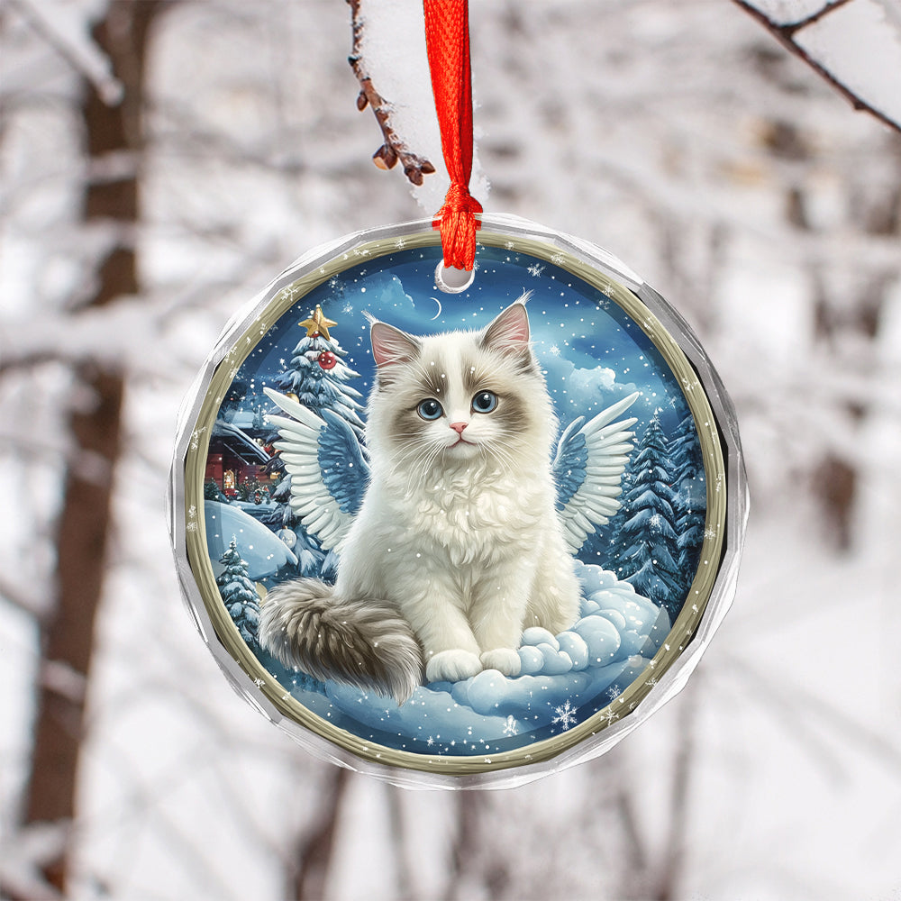 Angel Ragdoll Cat 3