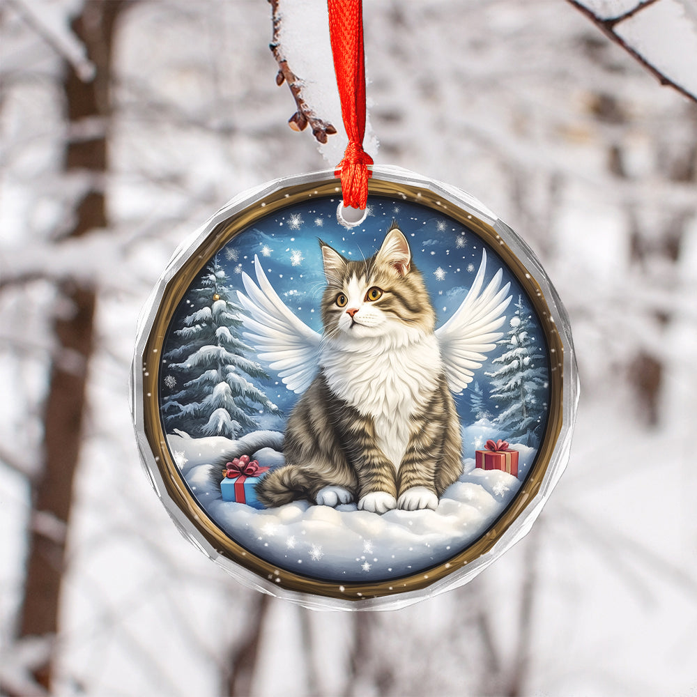 Angel Siberian Cat 3