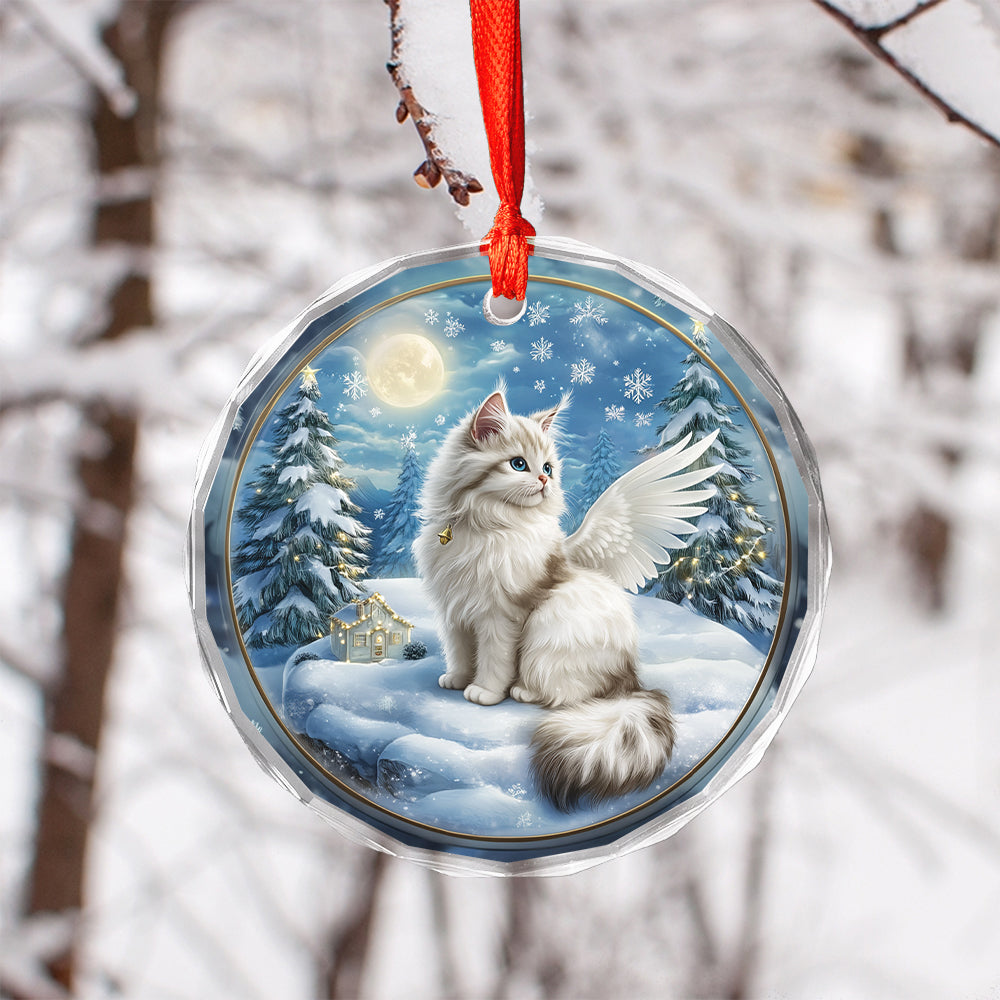 Angel Turkish Angora 4