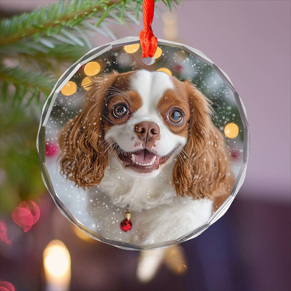 Beautiful Angus Cavalier King Charles Spaniel Dog Christmas Night Design 2 Glass Ornament