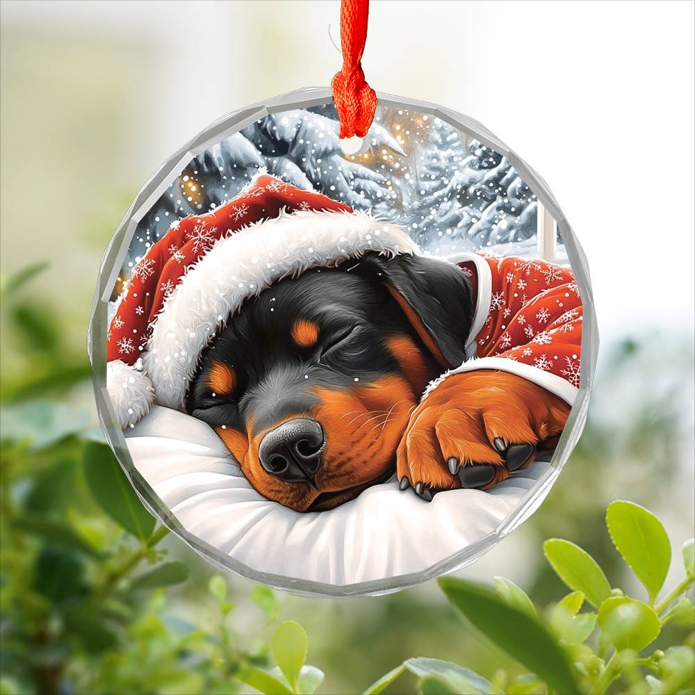 Rottweiler Dog Sleeping In Bed Design 2