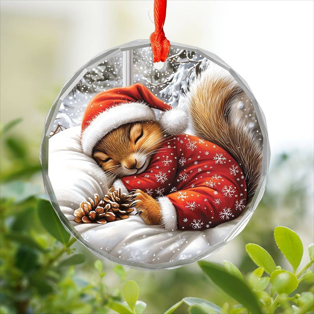 Squirrel Sleeping In Bed Design 2