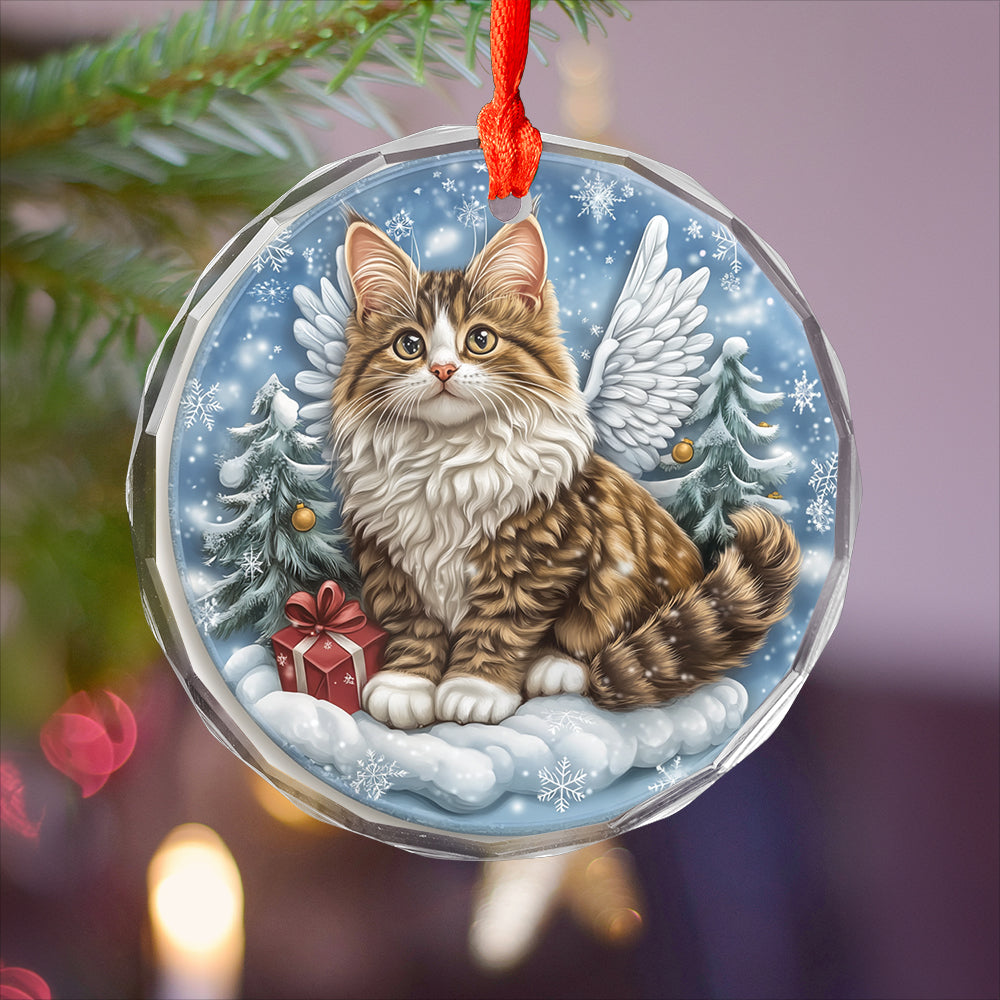 Angel Norwegian Forest Cat 2