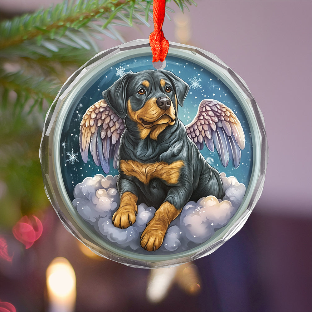 Angel Rottweiler Dog 4