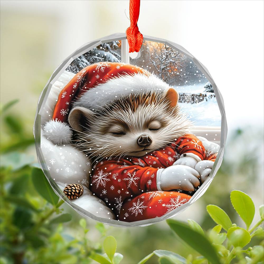 Hedgehog Sleeping In Bed Design 2
